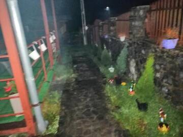 Фото номера Дом для отпуска Дома для отпуска Cabana Beea г. Дубова 65